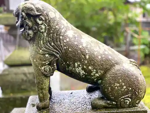 長倉・諏訪神社の狛犬