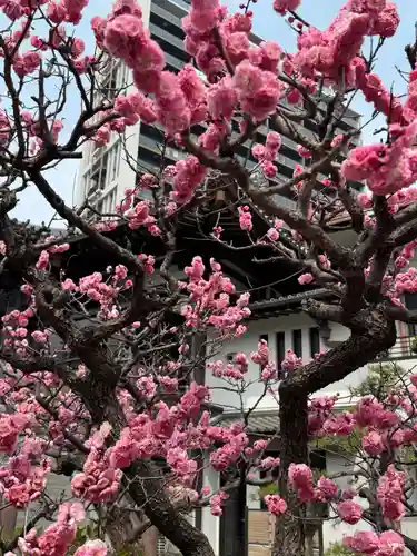 円頓寺(愛知県)