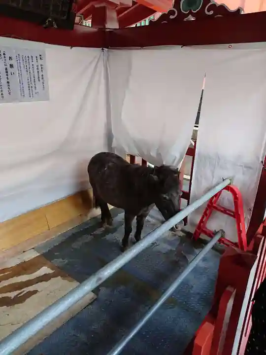 神田神社(神田明神)の動物