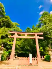 香取神宮の鳥居