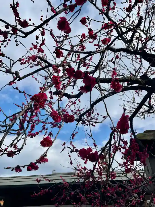 城官寺の{uncategorized: "未分類", other: "その他", undefined: "問題あり", building: "その他建物", grave: "お墓", sacred_gate: "鳥居", guardian: "狛犬", statue: "像", buddha: "仏像", history: "歴史", nature: "自然", garden: "庭園", animal: "動物", pagoda: "塔", temizu: "手水舎", mountain_gate: "山門・神門", sanctuary: "本殿・本堂", subordinate: "末社・摂社", art: "芸術", scenery: "景色", jizo: "地蔵", ema: "絵馬", goshuin: "御朱印", omikuji: "おみくじ", items: "授与品その他", amulet: "お守り", goshuincho: "御朱印帳", eats: "食事", festival: "お祭り", votive_dance: "神楽", shichigosan: "七五三参", wedding: "結婚式", experience: "体験その他", initially: "初詣", around: "周辺", anti_infection: "感染症対策"}