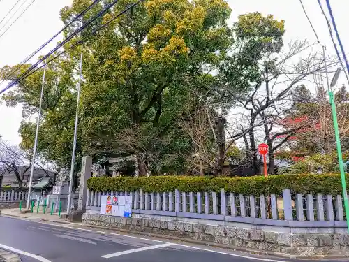 東八幡社の自然