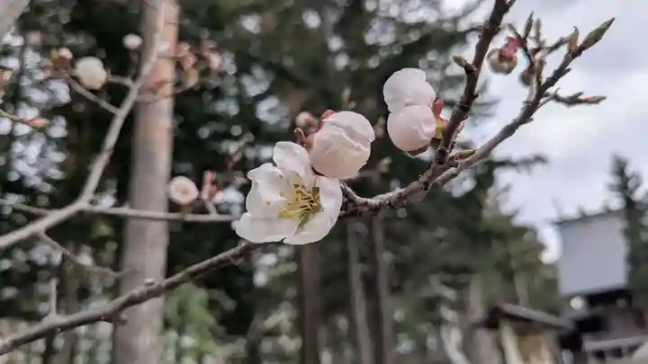 旭川天満宮の自然