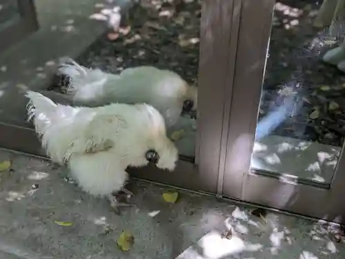 熱田神宮(愛知県)