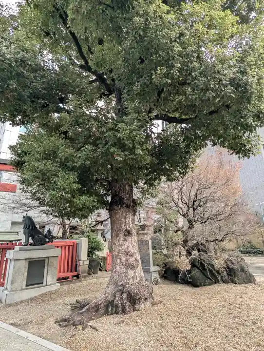 御霊神社の{uncategorized: "未分類", other: "その他", undefined: "問題あり", building: "その他建物", grave: "お墓", sacred_gate: "鳥居", guardian: "狛犬", statue: "像", buddha: "仏像", history: "歴史", nature: "自然", garden: "庭園", animal: "動物", pagoda: "塔", temizu: "手水舎", mountain_gate: "山門・神門", sanctuary: "本殿・本堂", subordinate: "末社・摂社", art: "芸術", scenery: "景色", jizo: "地蔵", ema: "絵馬", goshuin: "御朱印", omikuji: "おみくじ", items: "授与品その他", amulet: "お守り", goshuincho: "御朱印帳", eats: "食事", festival: "お祭り", votive_dance: "神楽", shichigosan: "七五三参", wedding: "結婚式", experience: "体験その他", initially: "初詣", around: "周辺", anti_infection: "感染症対策"}