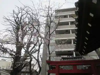 品川寺(東京都)