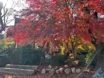 木舟山　順教寺(広島県)