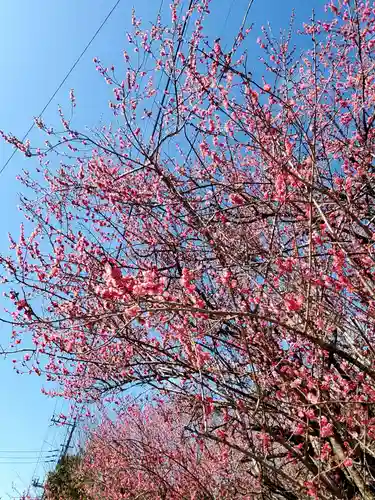 香取神宮(千葉県)