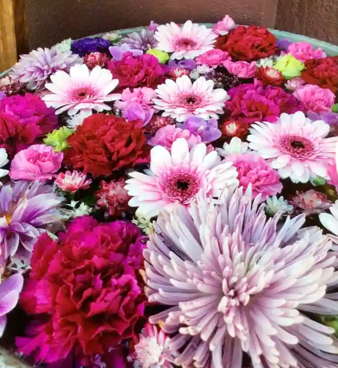 成田山深川不動堂(新勝寺東京別院)(東京都)