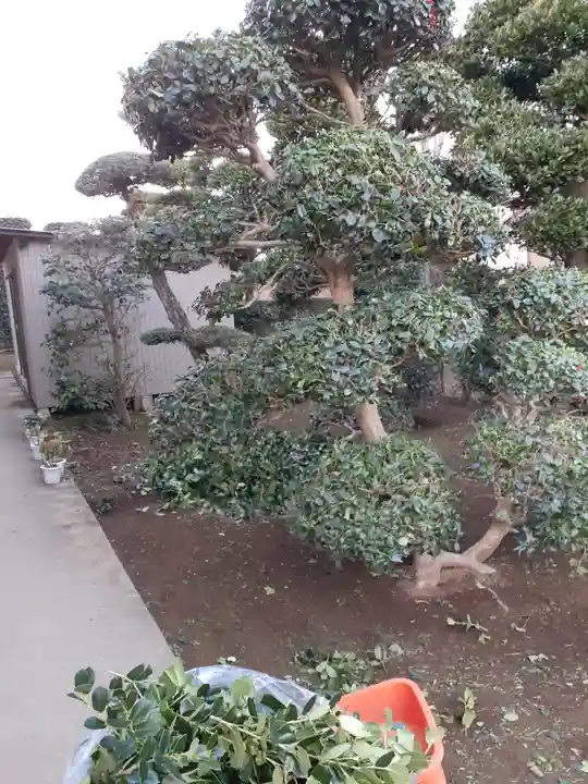 伏木香取神社の自然