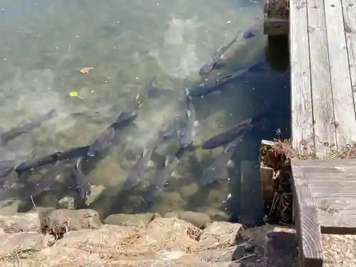 歳徳神社(兵庫県)