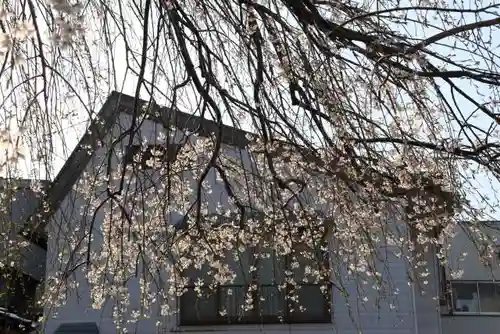 榊神社の建物その他