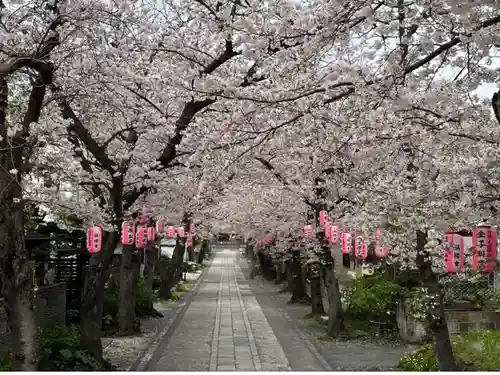 稱名寺(神奈川県)