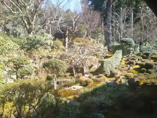 三千院門跡の庭園