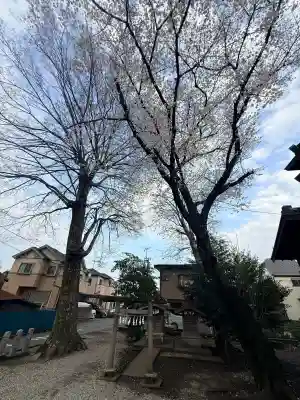 諏訪神社の{uncategorized: "未分類", other: "その他", undefined: "問題あり", building: "その他建物", grave: "お墓", sacred_gate: "鳥居", guardian: "狛犬", statue: "像", buddha: "仏像", history: "歴史", nature: "自然", garden: "庭園", animal: "動物", pagoda: "塔", temizu: "手水舎", mountain_gate: "山門・神門", sanctuary: "本殿・本堂", subordinate: "末社・摂社", art: "芸術", scenery: "景色", jizo: "地蔵", ema: "絵馬", goshuin: "御朱印", omikuji: "おみくじ", items: "授与品その他", amulet: "お守り", goshuincho: "御朱印帳", eats: "食事", festival: "お祭り", votive_dance: "神楽", shichigosan: "七五三参", wedding: "結婚式", experience: "体験その他", initially: "初詣", around: "周辺", anti_infection: "感染症対策"}