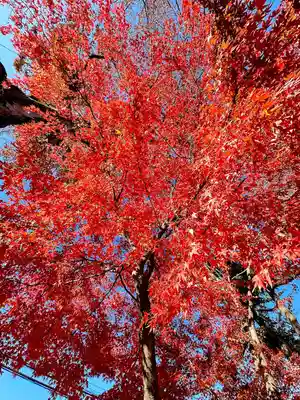 小野神社(東京都)