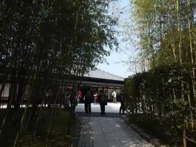 慈照寺（慈照禅寺・銀閣寺）のその他建物