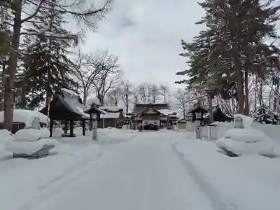 鷹栖神社(北海道)