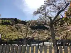 鹿嶋神社の建物その他