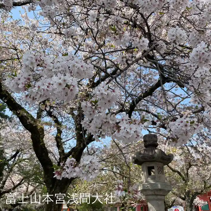 富士山本宮浅間大社(静岡県)