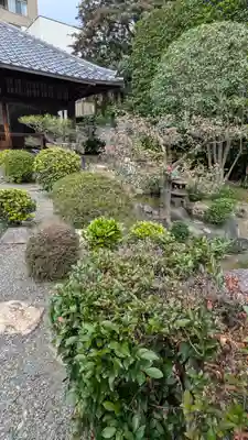 正賢寺(京都府)