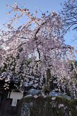 岩屋寺(京都府)