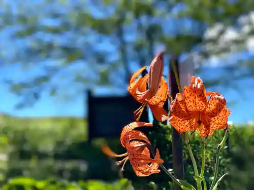 車山神社(長野県)