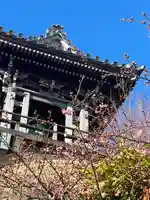 大船観音寺(神奈川県)