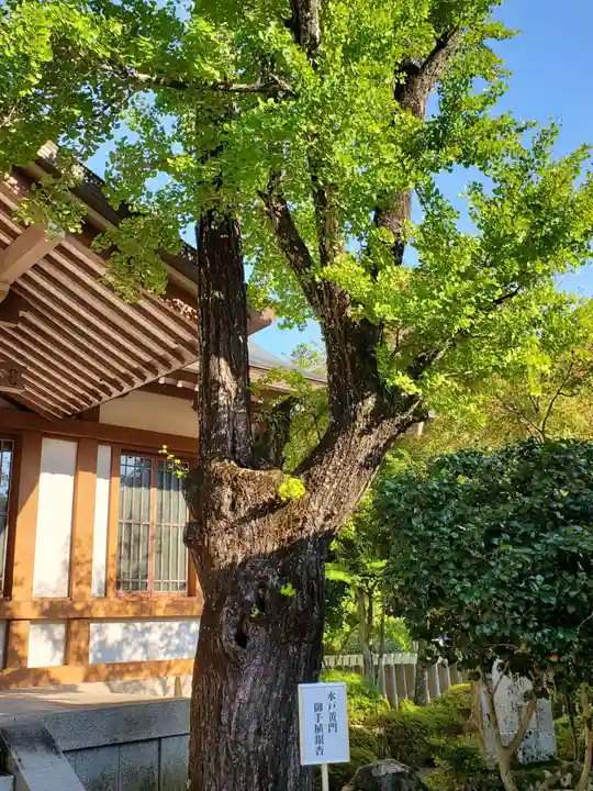 多田神社の自然