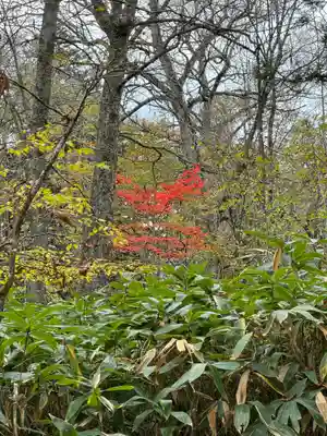 戸隠神社奥社(長野県)