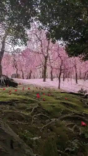 城南宮の{uncategorized: "未分類", other: "その他", undefined: "問題あり", building: "その他建物", grave: "お墓", sacred_gate: "鳥居", guardian: "狛犬", statue: "像", buddha: "仏像", history: "歴史", nature: "自然", garden: "庭園", animal: "動物", pagoda: "塔", temizu: "手水舎", mountain_gate: "山門・神門", sanctuary: "本殿・本堂", subordinate: "末社・摂社", art: "芸術", scenery: "景色", jizo: "地蔵", ema: "絵馬", goshuin: "御朱印", omikuji: "おみくじ", items: "授与品その他", amulet: "お守り", goshuincho: "御朱印帳", eats: "食事", festival: "お祭り", votive_dance: "神楽", shichigosan: "七五三参", wedding: "結婚式", experience: "体験その他", initially: "初詣", around: "周辺", anti_infection: "感染症対策"}