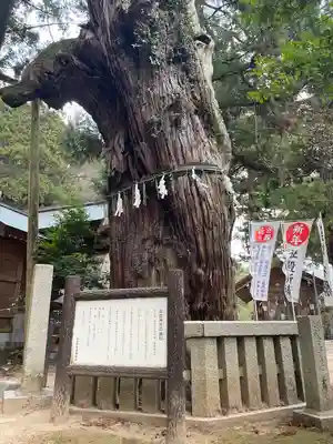 高倉神社の自然