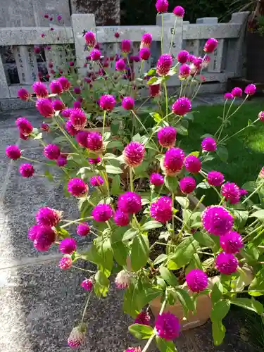 妙法寺(東京都)