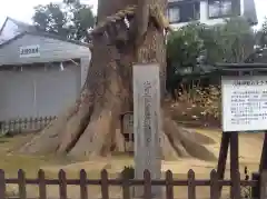 大市八幡神社の建物その他