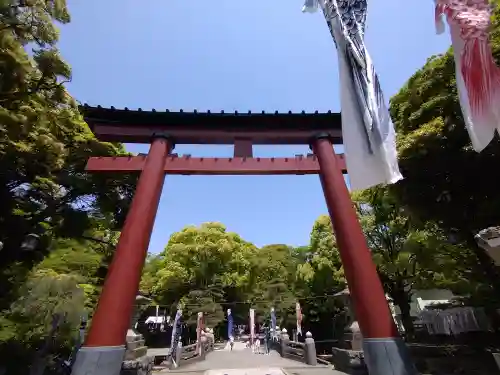 平塚八幡宮の鳥居