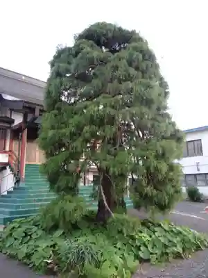 正蓮寺(青森県)