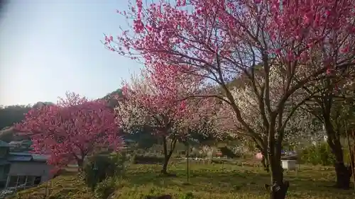 立花神社の庭園