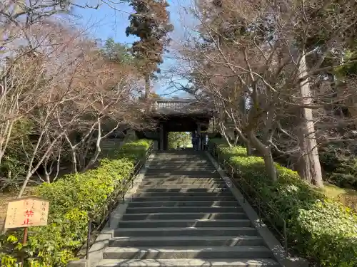円覚寺の{uncategorized: "未分類", other: "その他", undefined: "問題あり", building: "その他建物", grave: "お墓", sacred_gate: "鳥居", guardian: "狛犬", statue: "像", buddha: "仏像", history: "歴史", nature: "自然", garden: "庭園", animal: "動物", pagoda: "塔", temizu: "手水舎", mountain_gate: "山門・神門", sanctuary: "本殿・本堂", subordinate: "末社・摂社", art: "芸術", scenery: "景色", jizo: "地蔵", ema: "絵馬", goshuin: "御朱印", omikuji: "おみくじ", items: "授与品その他", amulet: "お守り", goshuincho: "御朱印帳", eats: "食事", festival: "お祭り", votive_dance: "神楽", shichigosan: "七五三参", wedding: "結婚式", experience: "体験その他", initially: "初詣", around: "周辺", anti_infection: "感染症対策"}