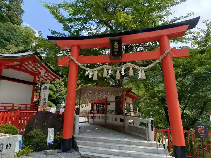 金櫻神社(山梨県)