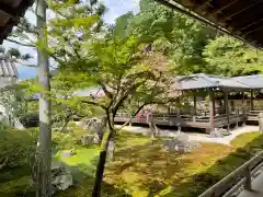 南禅寺の庭園