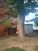 共光稲荷大明神(東京都)