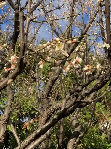 白山神社(東京都)