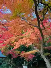 志波彦神社・鹽竈神社の自然