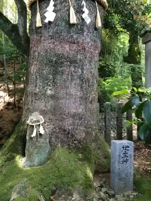 綿都美神社(福岡県)