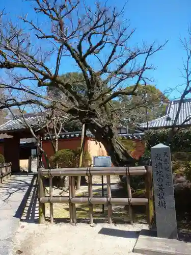 戒壇院のその他建物