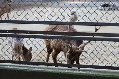 鹿島神宮(茨城県)