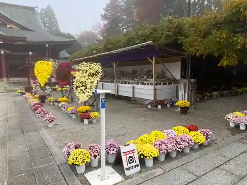 笠間稲荷神社の庭園