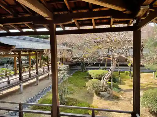 大覚寺(京都府)