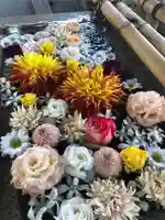 糀谷八幡宮の手水舎