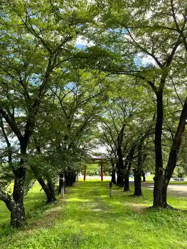 子檀嶺神社(長野県)